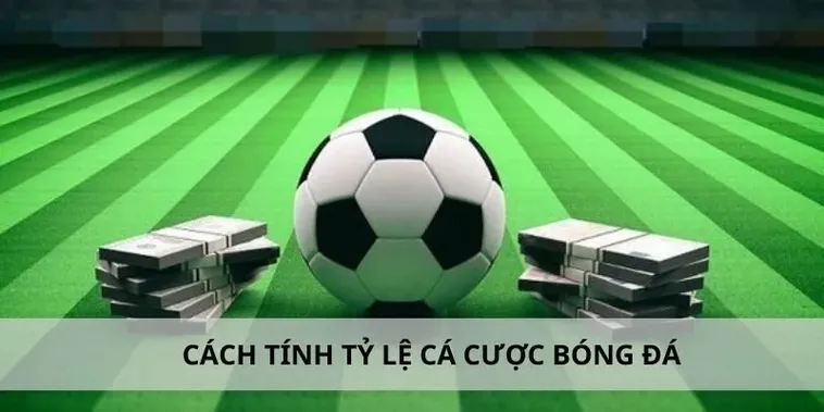 Tìm Hiểu Cá Cược Bóng Đá DaGa Đỉnh Cao Và Hấp Dẫn Nhất