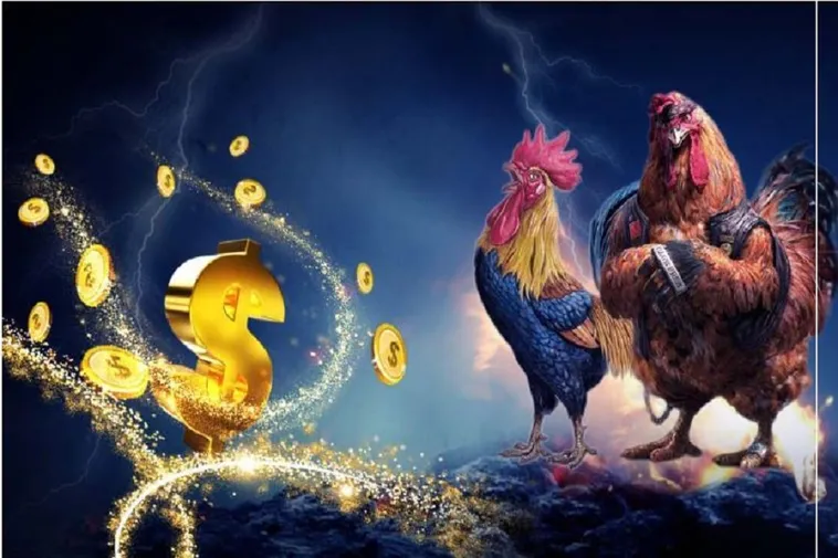 Hướng Dẫn Cách Chơi Đá Gà WS168 Tại Daga Nhanh Chóng, Dễ Thắng