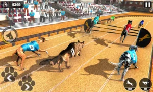 Cách Chơi Game Nhanh Đua Chó Tại DaGa Kịch Tính Nhất